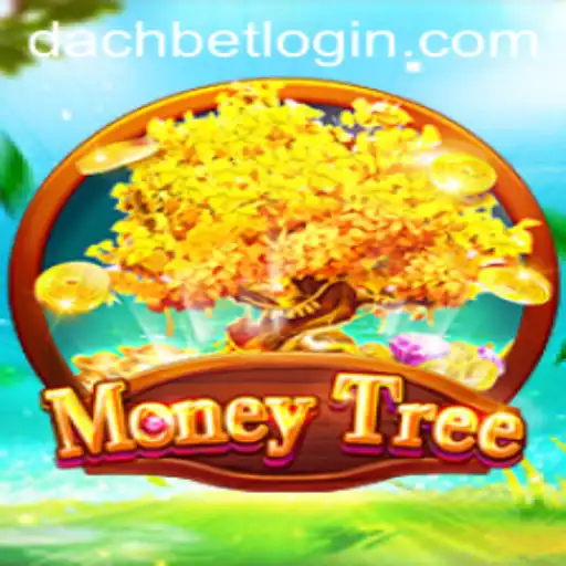 MoneyTree: Your Path to Financial Success with DACHBET